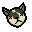 Ku's Head