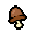 Cordyceps