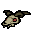 Jersey's Skull
