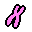 X Chromosome