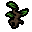Tree Of Life