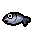 Salted Fish